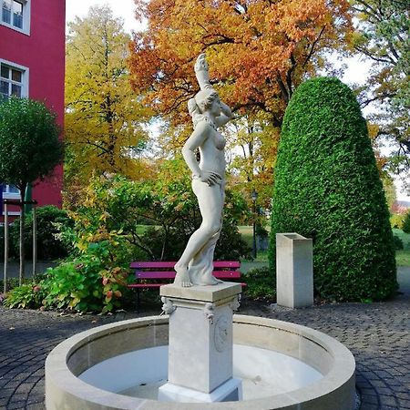 Parkhotel Bad Schandau Mit Spa エクステリア 写真